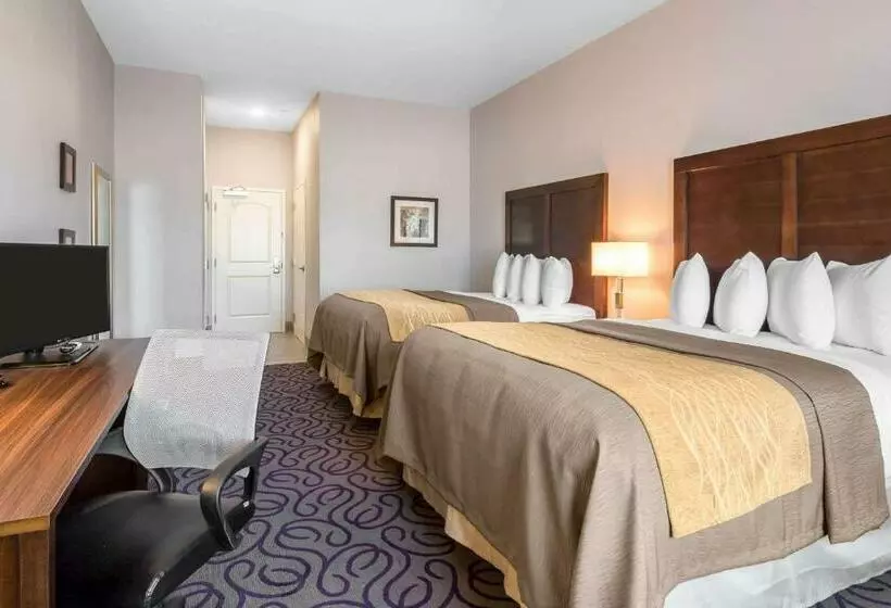 スタンダードルーム, Comfort Inn & Suites