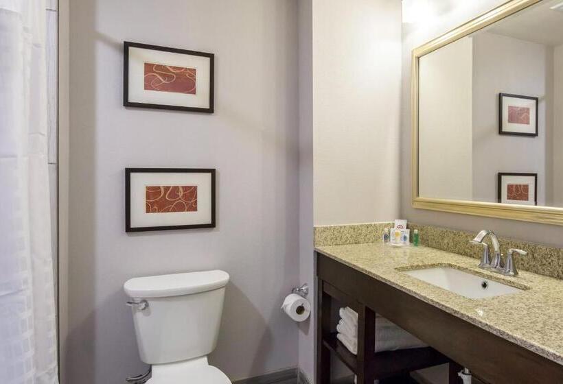 غرفة قياسية, Comfort Inn & Suites