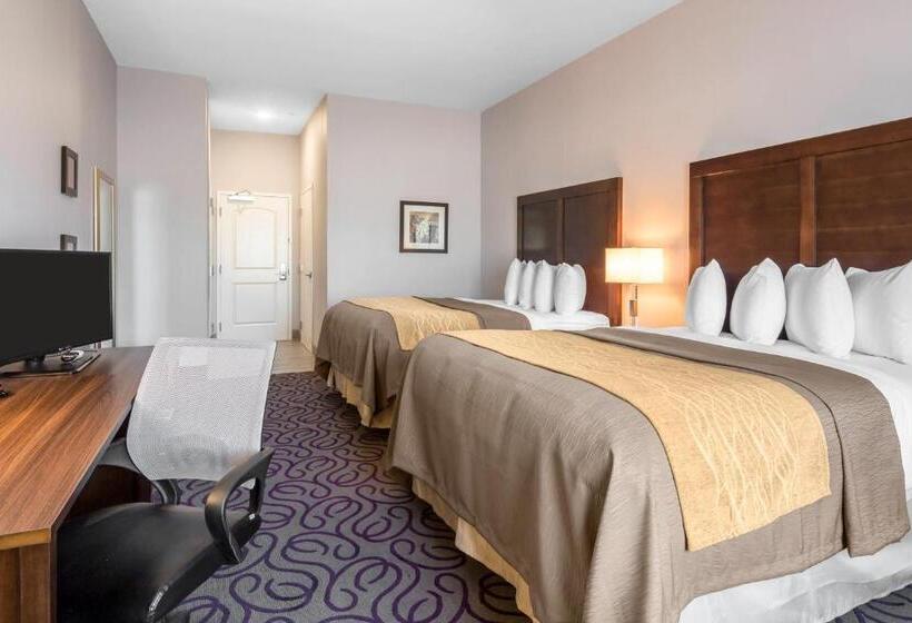 חדר סטנדרט, Comfort Inn & Suites