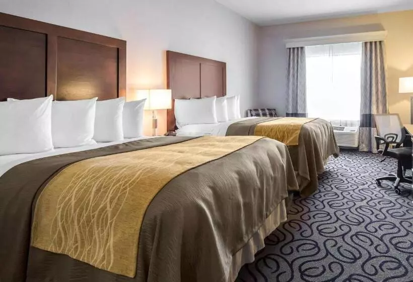 身障者適用スタンダードルーム, Comfort Inn & Suites