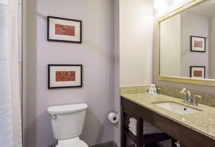 身障者適用スタンダードルーム, Comfort Inn & Suites