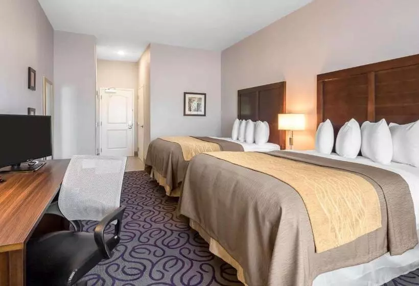 身障者適用スタンダードルーム, Comfort Inn & Suites