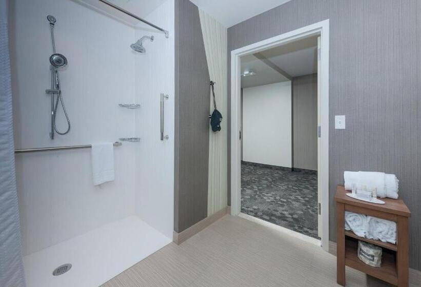 غرفة قياسية سرير كينج, Courtyard By Marriott Boston Littleton