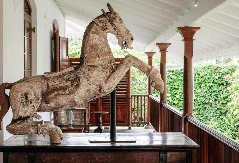 スーペリアールーム, Maniumpathy