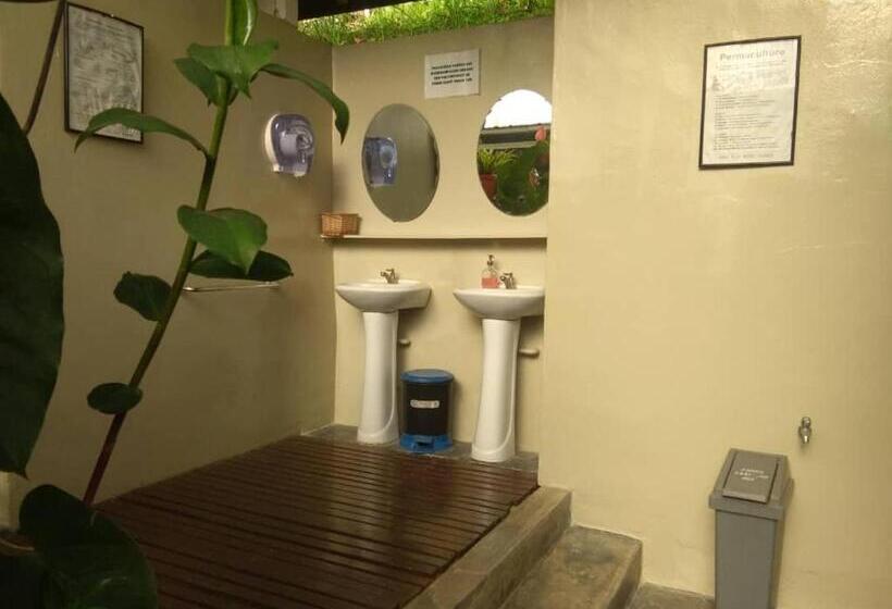 اتاق استاندارد با سرویس بهداشتی مشترک, Moonriver Lodge