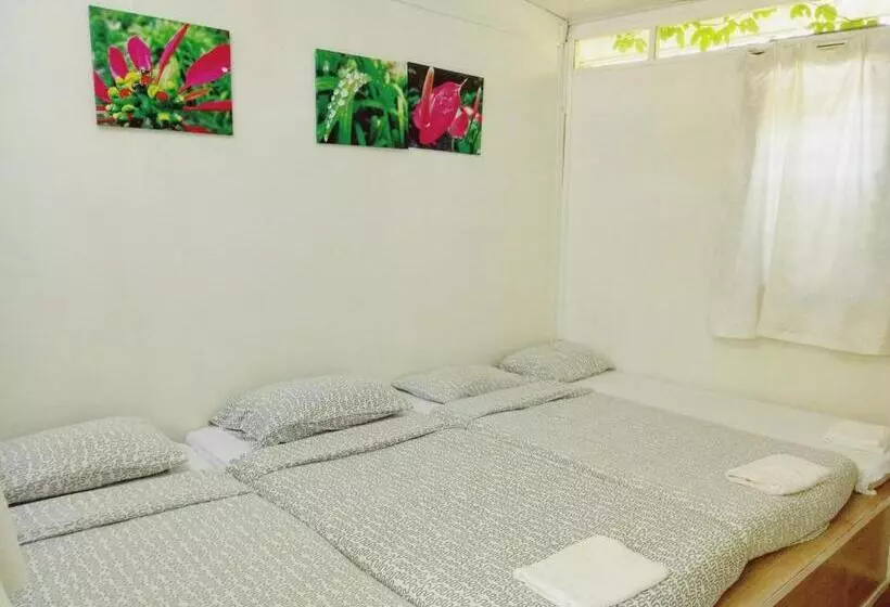 浴室共有スタンダード４人用ルーム, Moonriver Lodge