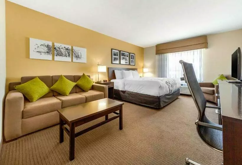 キングサイズベッドのスイートルーム, Sleep Inn & Suites Lincoln University Area