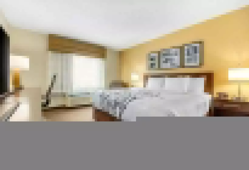 キングサイズベッドのスタンダードルーム, Sleep Inn & Suites Lincoln University Area