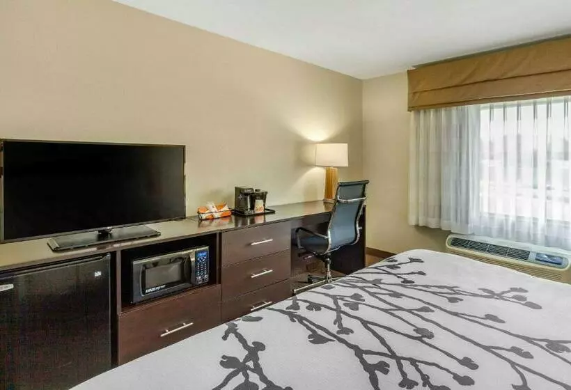 キングサイズベッドのスタンダードルーム, Sleep Inn & Suites Lincoln University Area