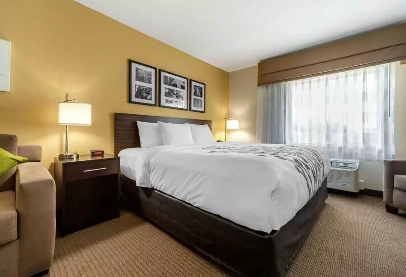 キングサイズベッドのスイートルーム, Sleep Inn & Suites Lincoln University Area