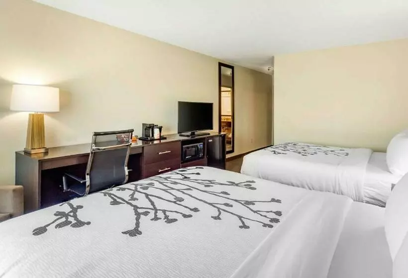 スタンダードルーム, Sleep Inn & Suites Lincoln University Area