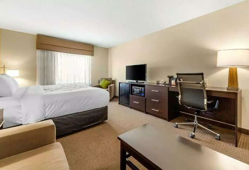 キングサイズベッドのスイートルーム, Sleep Inn & Suites Lincoln University Area