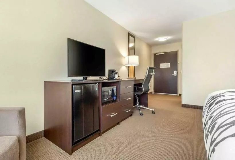 キングサイズベッドのスイートルーム, Sleep Inn & Suites Lincoln University Area