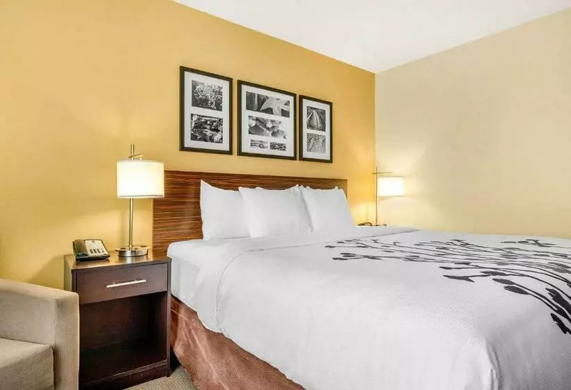 キングサイズベッドのスタンダードルーム, Sleep Inn & Suites Lincoln University Area