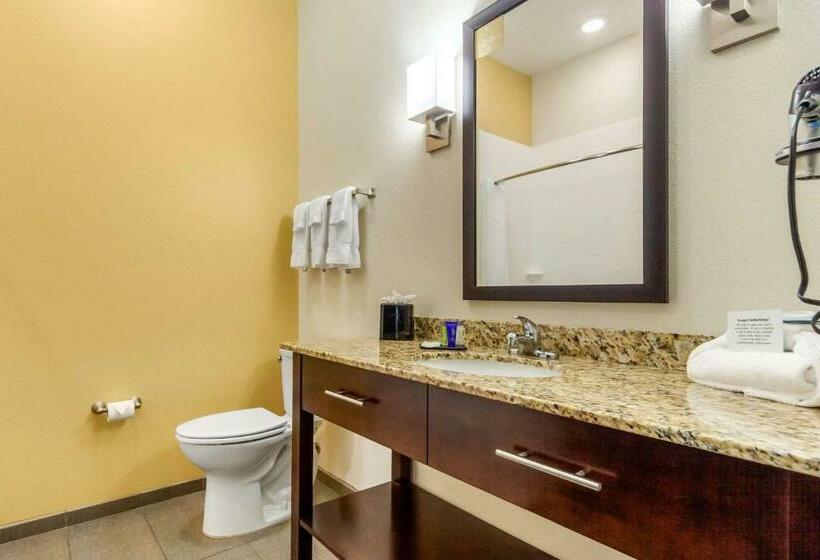 标准间, Sleep Inn & Suites Lincoln University Area