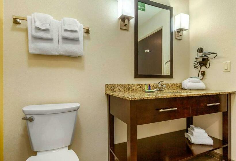 带大床的标准间, Sleep Inn & Suites Lincoln University Area