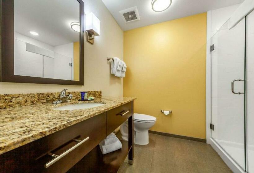 带大床的套房, Sleep Inn & Suites Lincoln University Area