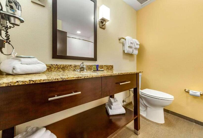 套房, Sleep Inn & Suites Lincoln University Area