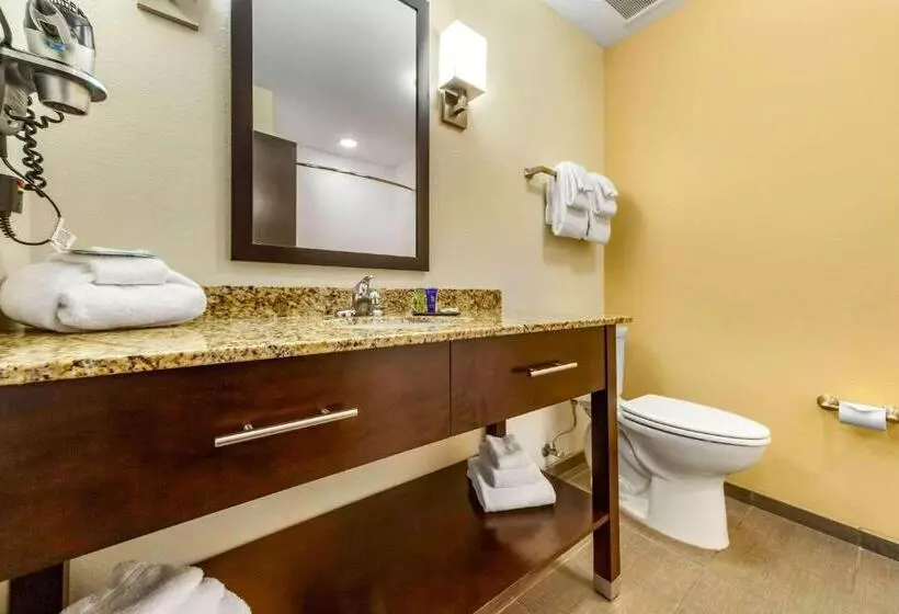 スイート, Sleep Inn & Suites Lincoln University Area