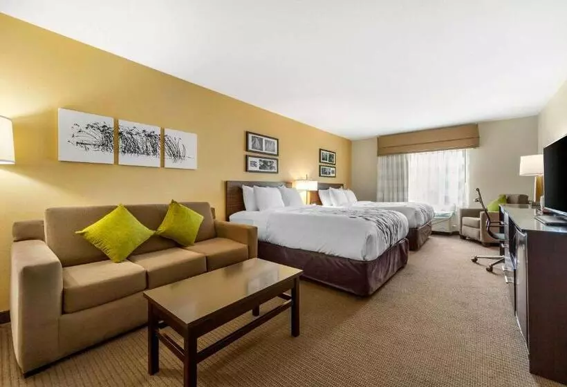 スイート, Sleep Inn & Suites Lincoln University Area