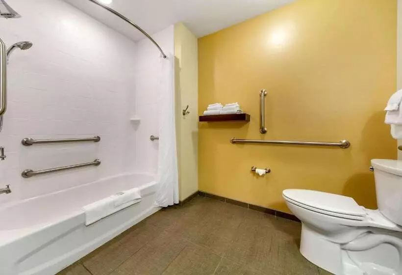 身障者適用スイートルーム, Sleep Inn & Suites Lincoln University Area