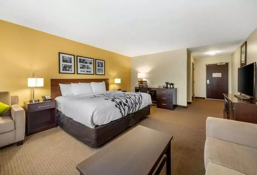 身障者適用スイートルーム, Sleep Inn & Suites Lincoln University Area