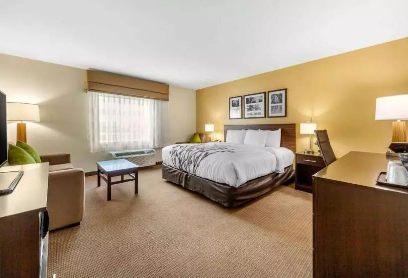 身障者適用スイートルーム, Sleep Inn & Suites Lincoln University Area