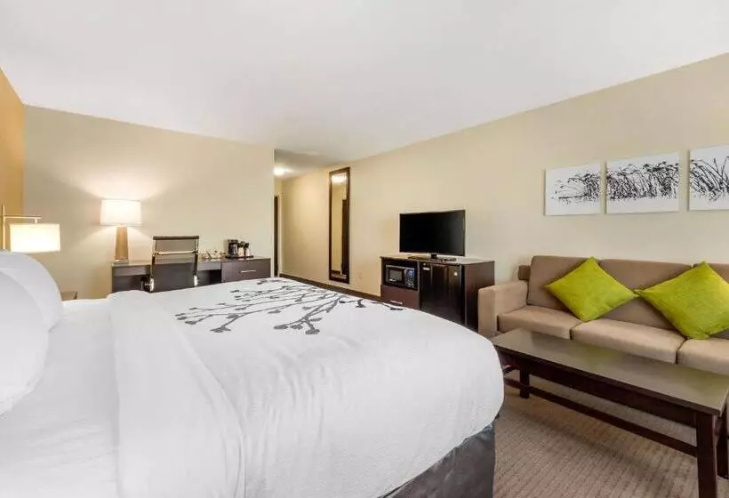 身障者適用スイートルーム, Sleep Inn & Suites Lincoln University Area