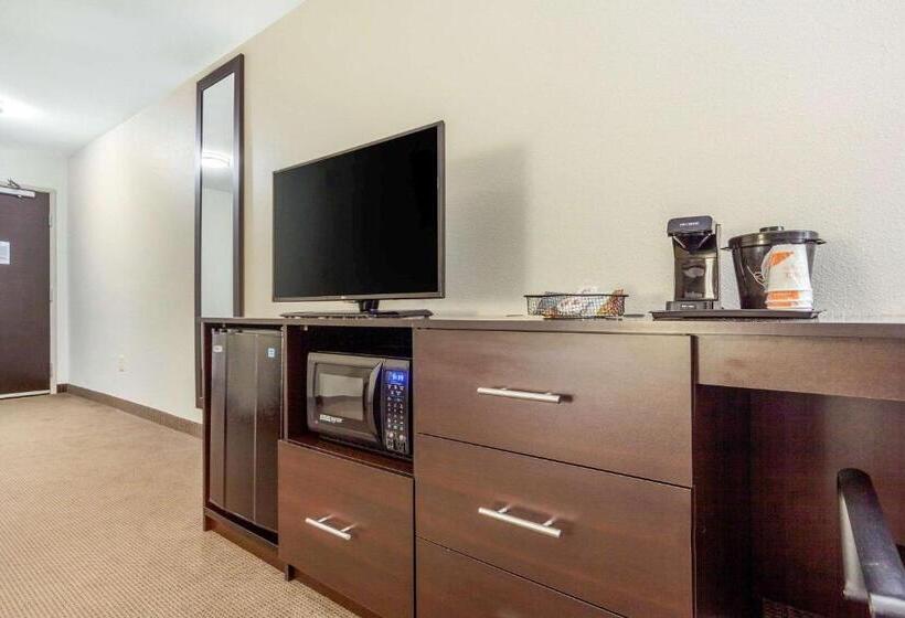 适合残疾人使用的标准间, Sleep Inn & Suites Lincoln University Area