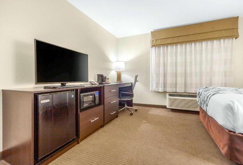 适合残疾人使用的标准间, Sleep Inn & Suites Lincoln University Area