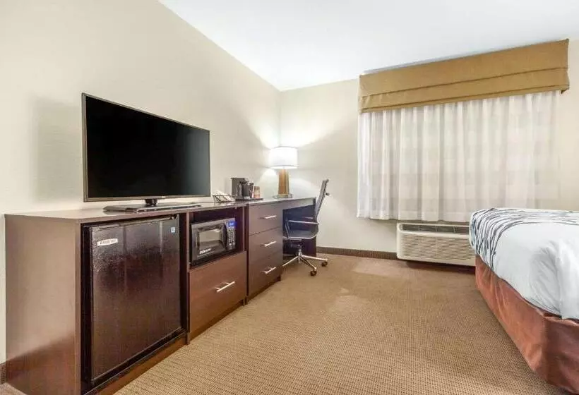 身障者適用スタンダードルーム, Sleep Inn & Suites Lincoln University Area