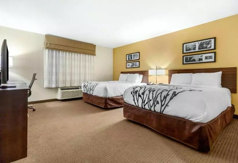 身障者適用スタンダードルーム, Sleep Inn & Suites Lincoln University Area
