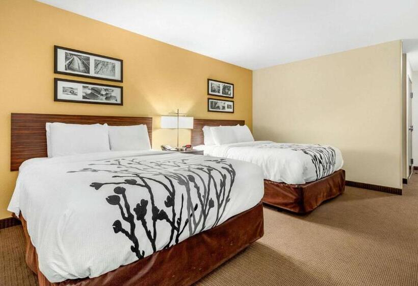 适合残疾人使用的标准间, Sleep Inn & Suites Lincoln University Area