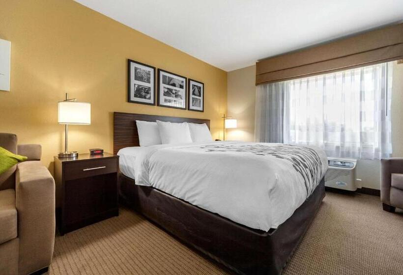 适合残疾人士使用的套间, Sleep Inn & Suites Lincoln University Area
