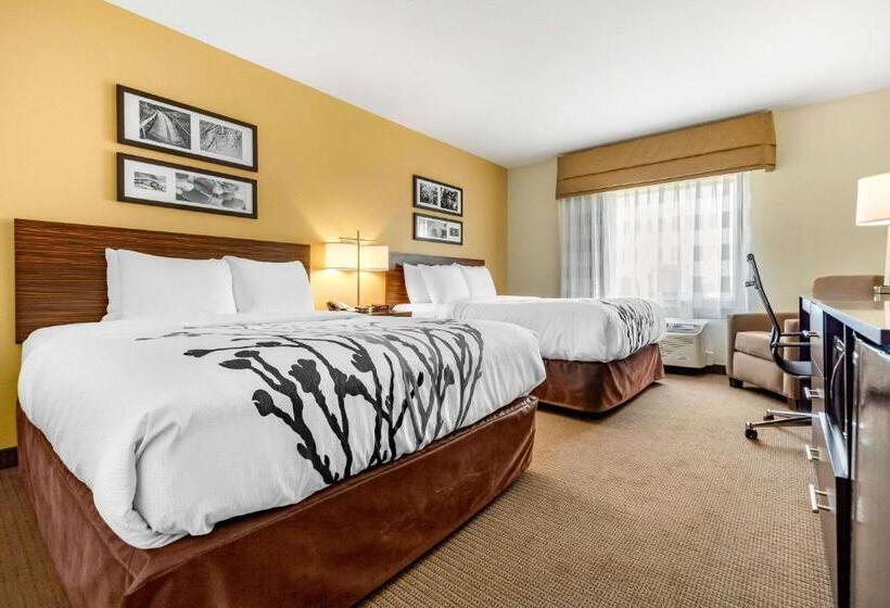 장애인을 위한 스탠다드 룸, Sleep Inn & Suites Lincoln University Area
