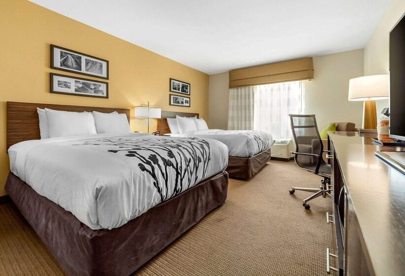 套房, Sleep Inn & Suites Lincoln University Area