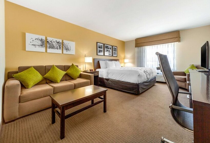 套房, Sleep Inn & Suites Lincoln University Area