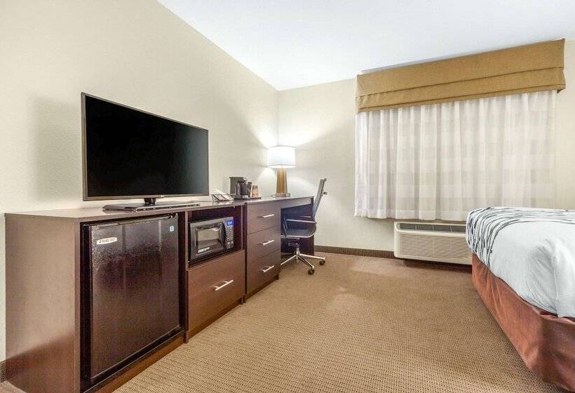 适合残疾人士使用的套间, Sleep Inn & Suites Lincoln University Area