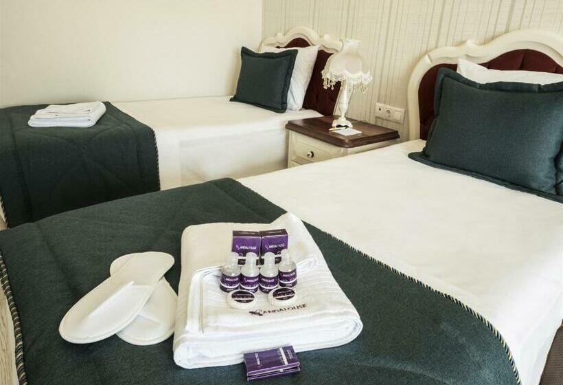 سوییت خانوادگی, Andalouse Suite