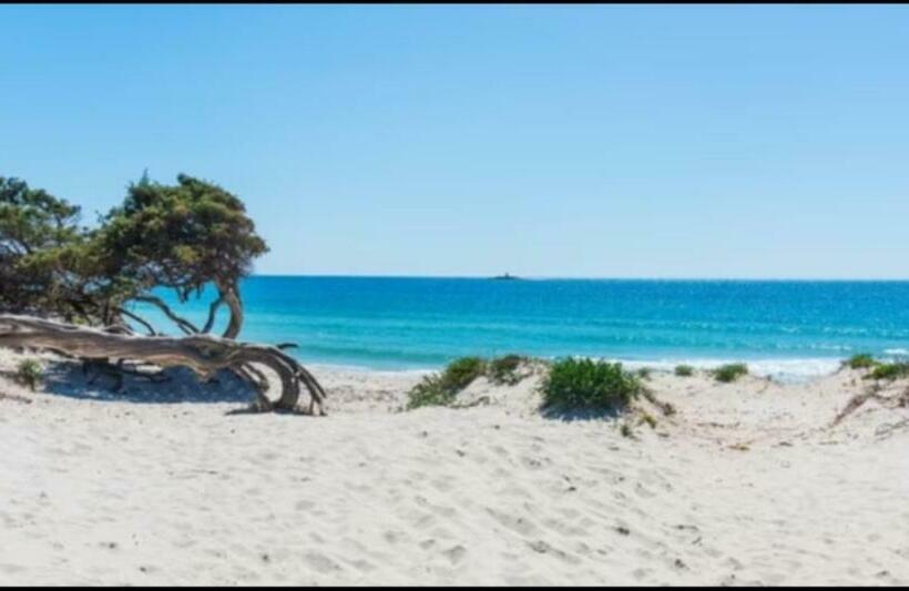 스탠다드 발코니 룸, B&b Jamba Self Ceck In