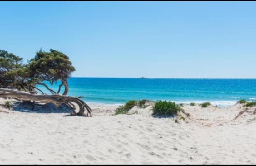 디럭스 룸 바다 전망, B&b Jamba Self Ceck In