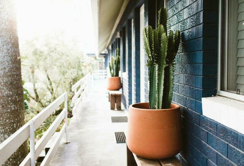 スタンダードルーム, Chalet Motel Brunswick Heads