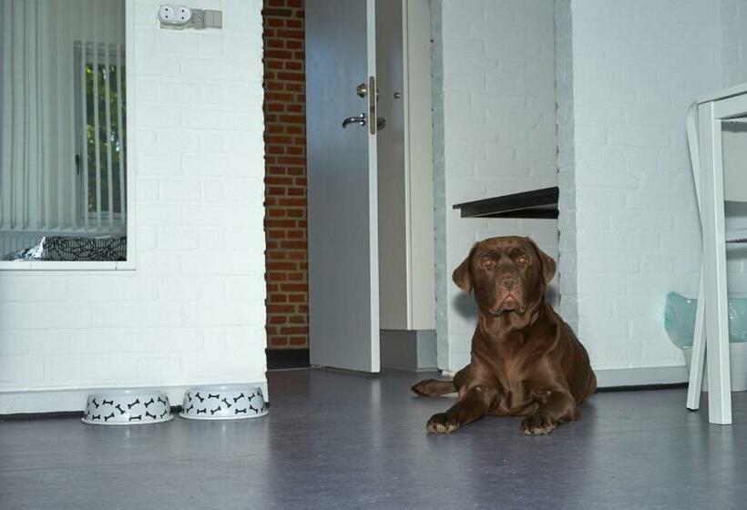 חדר סטנדרט לארבעה, Family Rooms With Ensuite Bathrooms