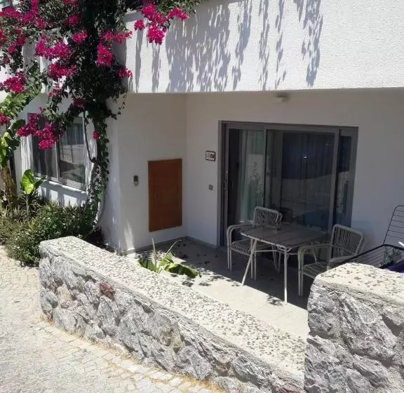 اتاق استاندارد با چشم‌انداز باغ, Degirmenburnu Residence