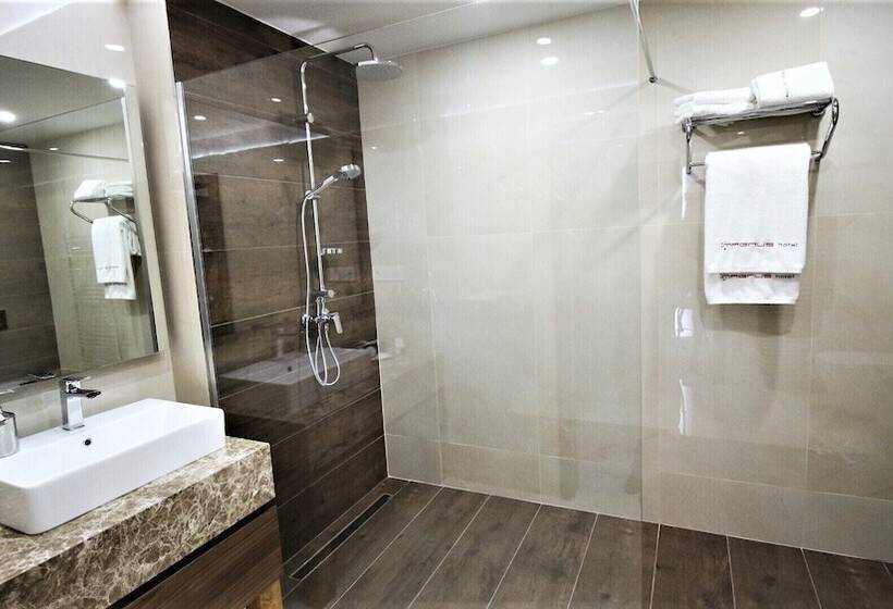 غرفة سوبيريور, Magnus Trenčín