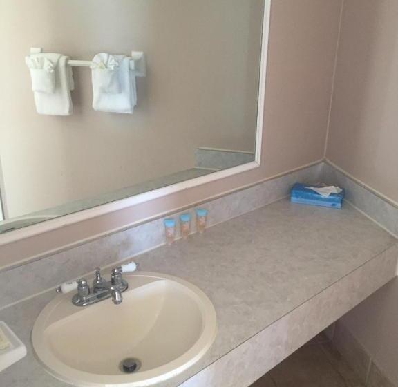 חדר סטנדרט נוף לים, Seascape Inn   Daytona Beach Shores