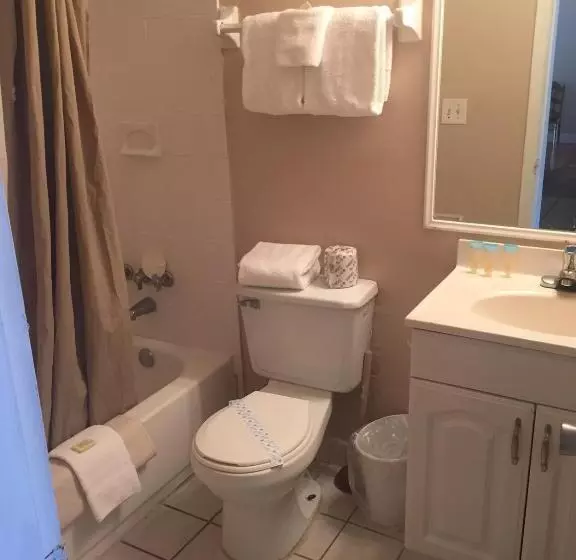 オーシャンビュースタンダードルームバルコニー付き, Seascape Inn   Daytona Beach Shores