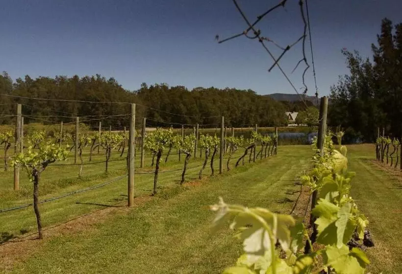 デラックススイート, The Carriages Boutique Hotel and Vineyard