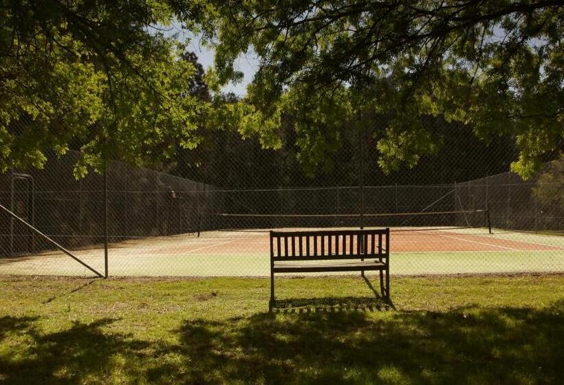 Люкс Повышенной Комфортности, The Carriages Boutique Hotel and Vineyard