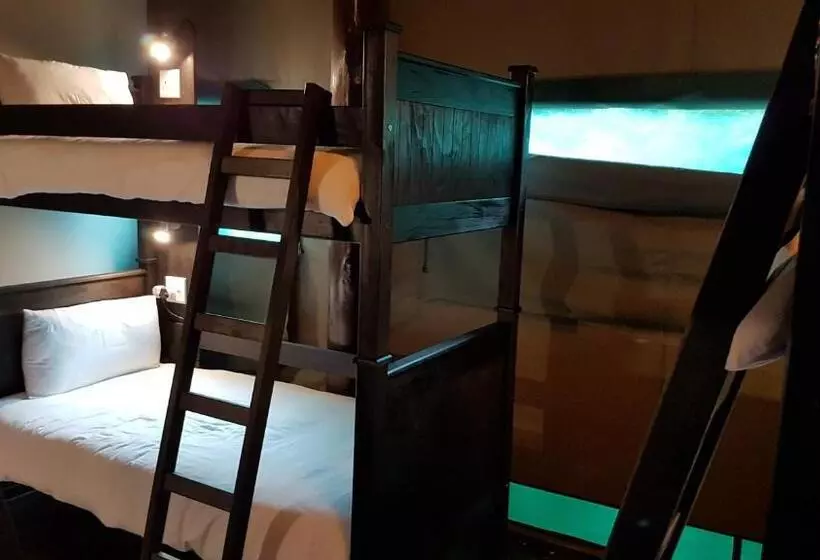 ルームシェアのワンベッド, Urban Glamping Tranquil International Backpacking Village